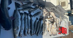 Inshore action heating up in Slidell